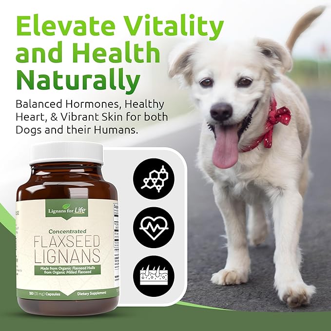 Lignans For Life Flaxseed Lignans for Dogs &amp People + SDG - Omega 3 Fatty Acids High Fiber Antioxidants - Improve Shiny Coat Digestive &amp Heart Health for Dogs 15mg 180 Flaxseed Capsules 1