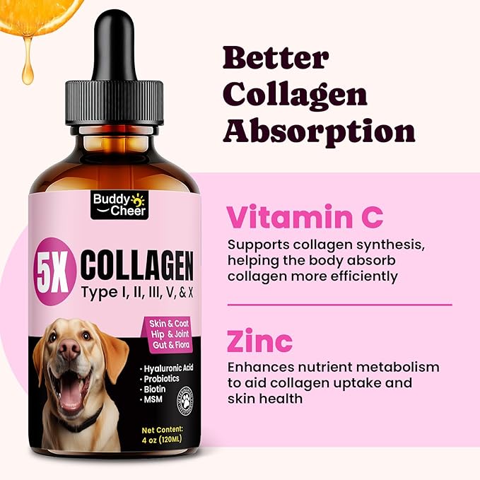 Dog Skin &amp Daily Wellness Support Bundle – Collagen Liquid Drops with Multivitamin Chews for Overall Health