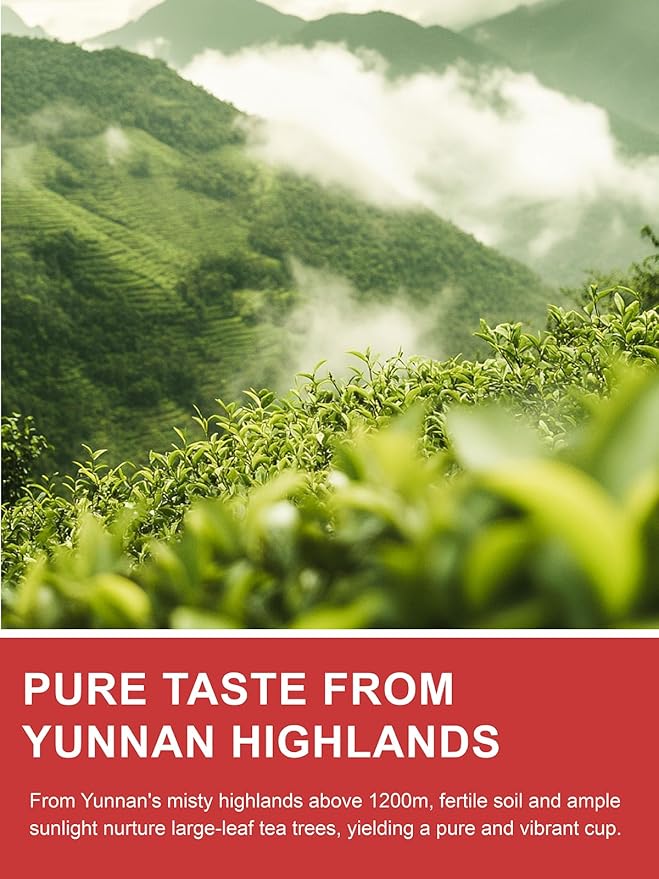 TeeLux Black Tea Loose Leaf Premium Yunnan Black Tea Floral Aroma Smooth &amp Full-bodied Taste Hot &amp Iced Tea 16oz