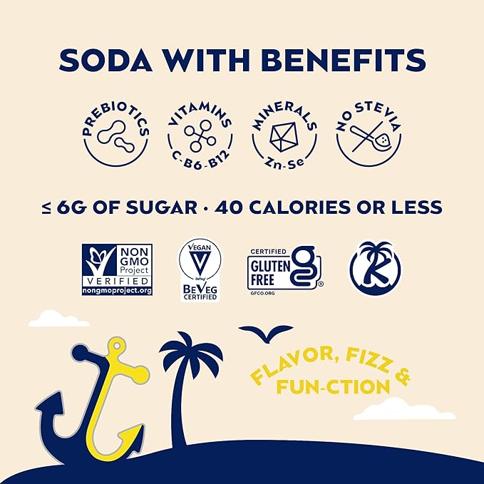 SunSip Prebiotic Soda by Health-Ade Gut-Healthy Beverage Vitamins &amp Minerals Soda Alternative Naturally Sweetened with 6g of sugar or less 11.5 oz (12 Pack) Dynamic Duo Variety Pack