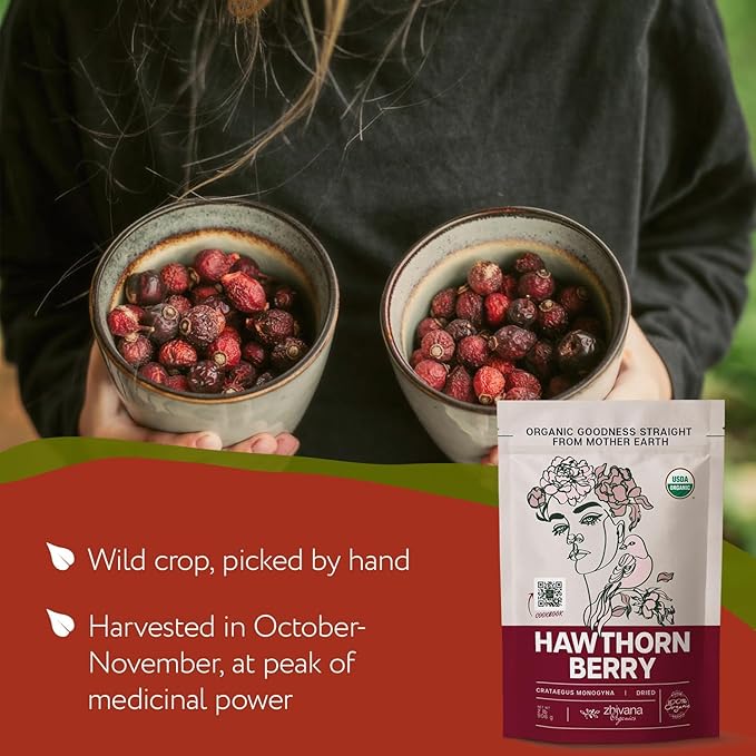Organic Hawthorn Berry Tea (16oz.) 4 PACK - Hawthorne Berries for Herbal Tea Tinctures Recipes - Wild Crop - European Origin