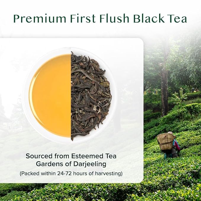 VAHDAM First Flush Darjeeling Tea - 170+ Cups (340g/12oz) Loose Leaf Black Tea - Flowery Aromatic &amp Delicious | Mellow &amp Fragrant | Vacuum Sealed Pack