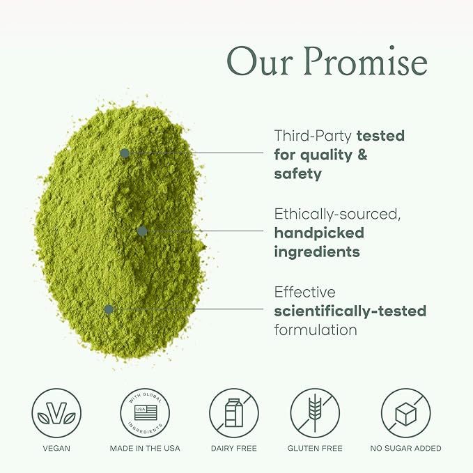 SPACE AND TIME Create - Mushroom Matcha Tea - 20 Cups of Creativity Energy &amp Enhanced Mood - Organic Matcha Powder with Lions Mane L-Theanine &amp Saffron