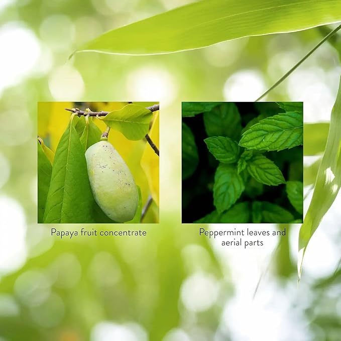 Papaya &amp Peppermint by Nature's Sunshine