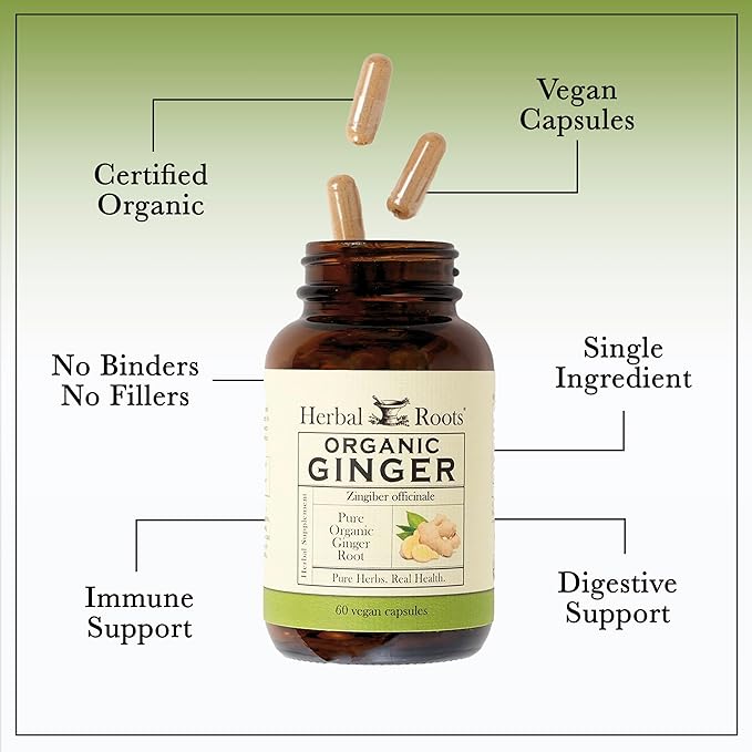 Herbal Roots Ginger Supplement | Organic Ginger Root Capsules | 1200 mg of Pure Ginger Powder per Serving | 60 Vegan Capsules (Pack of 2)
