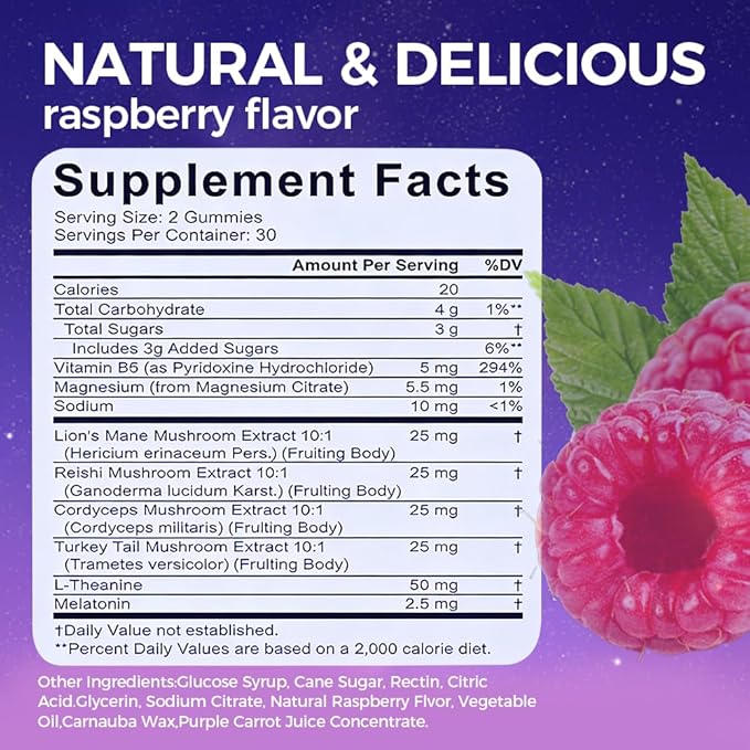 DreamOn Sleep Optimization Gummies with Reishi Cordyceps Lions Mane Turkey Tail L-Theanine Magnesium &amp 2.5mg Melatonin for Sleep Support 60 Gummies