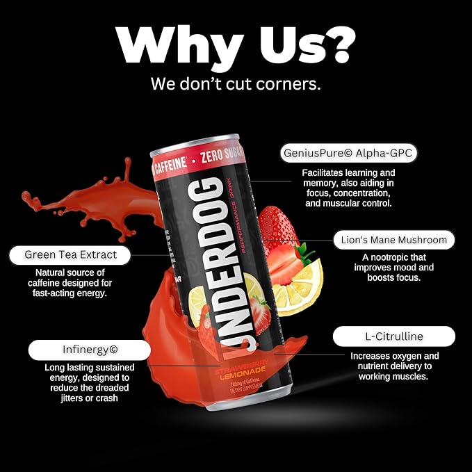 Underdog Performance Energy Drink Strawberry Lemonade Nootropics Green Tea Extract Citrulline Clean Sugar Free Fast &amp Slow Release 249mg Caffeine per Serving No Artificial Additives 12 Pac