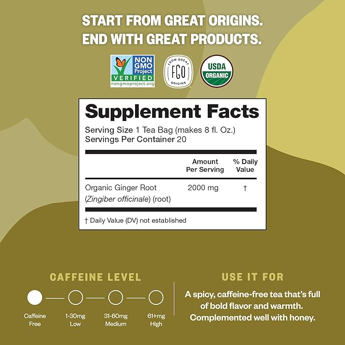 FGO Organic Ginger Tea 100 Count Eco-Conscious Tea Bags Caffeine Free Packaging May Vary (Pack of 1)