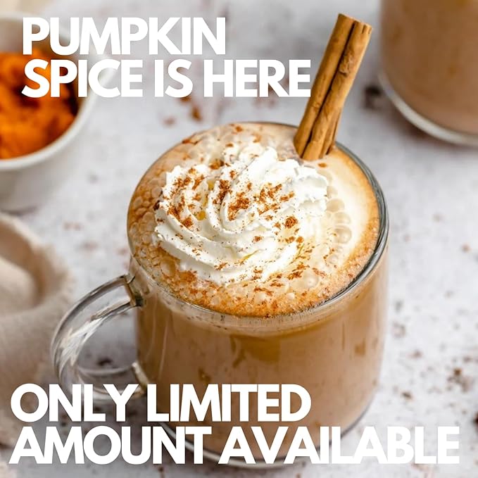Sarasota Coffee Ground Packets | Gourmet Flavored Medium Roast Bulk Coffee Packs | Pumpkin Spice | Low Acid Mold Free Singles Individual Pouches for 12 Cups Maker | 2 Ounce Bags 36 Count