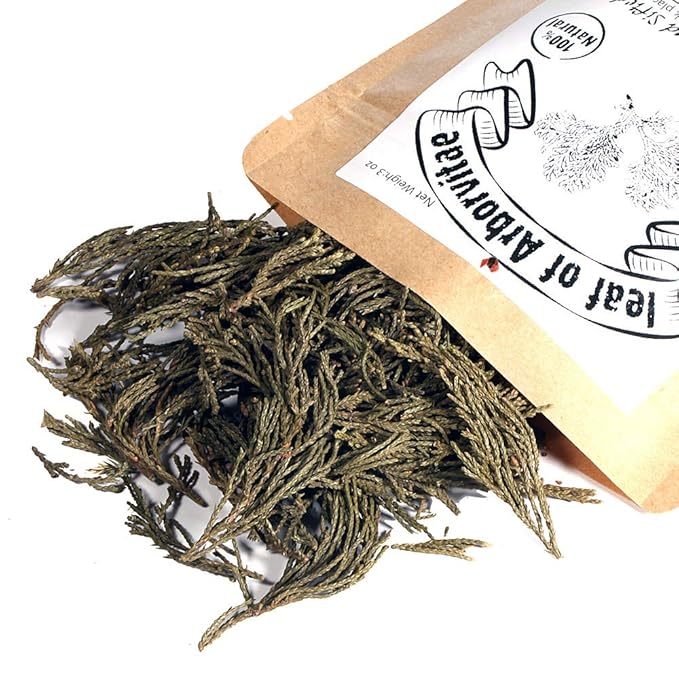 EidolonGreen [China Medicinal Herb] Leaf of Arborvitae (Green leaf of Arborvitae/Thuja/측백엽/侧柏叶/Ce bai ye) Dried Bulk Herbs (3 Oz / 88g)