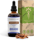 Secrets of the Tribe Cryptolepis Tincture Alcohol-Free Extract High-Potency Herbal Drops Tincture Made from Wildcrafted Cryptolepis Sanguinolenta 4 oz