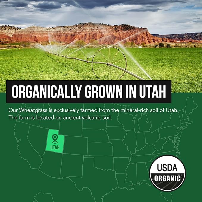 Organic Wheatgrass Juice Powder - Organic Grown in Volcanic Soil of Utah - Raw BioActive Form Cold-Pressed Then CO2 Dried 20:1 Concentrate Juice Extract - Unflavored (5.3 oz – 60 Servings)
