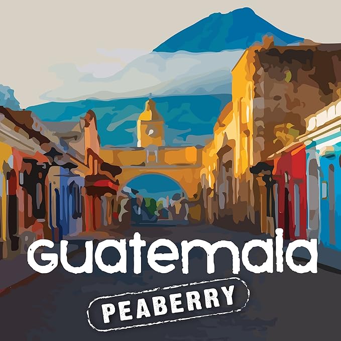 Aroma Ridge Guatemala Peaberry Freshly Roasted Coffee Beans 16oz