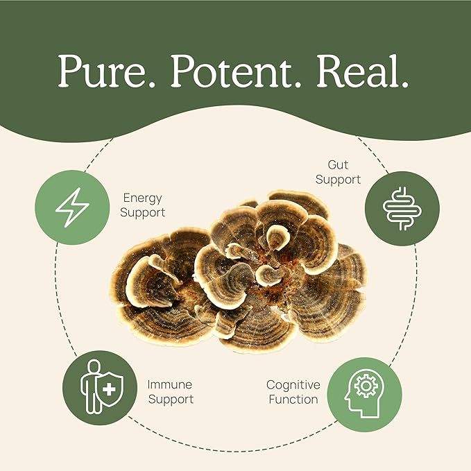 Real Mushrooms Turkey Tail Mushroom Powder – Organic Mushroom Extract for Daily Wellness Gut Harmony &amp Energy Support with Beta Glucans – Vegan Non-GMO 45 Servings Functional Supplement