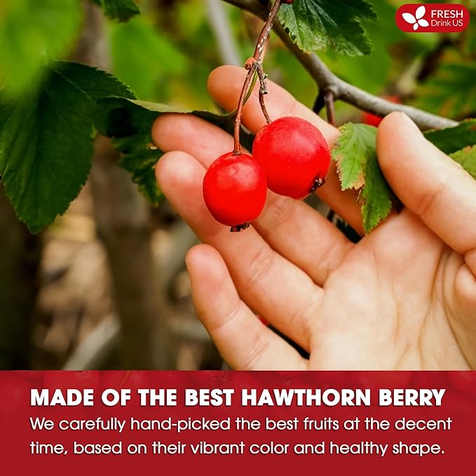 FreshDrinkUS Premium Hawthorn Berry Tea - 135 Tea Bags - 100% Natural Herbal Infusion Caffeine-Free Rich Aroma &amp Smooth Taste. Vegan