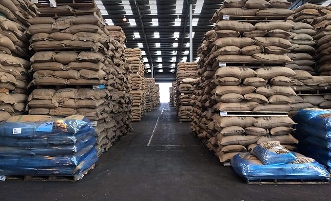 Rococo Roasters 1 lb Hawaii Hawaiian Kona Extra Fancy Coffee Beans Fresh Authentic!