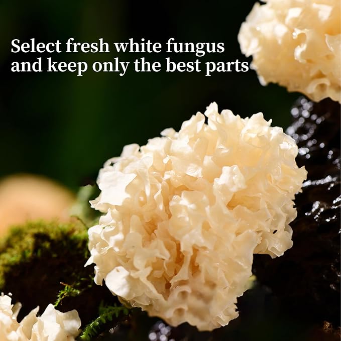 White Snow Fungus Mushroom Rootless Dried Snow Fungus Tremella Fuciformis Mushroom Unbleached No Additives Sulfur Free 银耳 去根白银耳 特级雪银耳 4.23oz / 120g