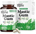 Wild &amp Organic Mastic Gum Capsules - 1000 mg Mastic Gum Resin Supplement for Gut Support - 2 Month Supply - 120 Vegan Capsules - No Fillers Non-GMO Gluten-Free