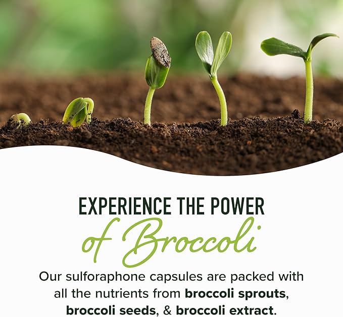 50MG Sulforaphane Supplement from Broccoli Sprouts | NRF2 Activation Cellular Health &amp Immune Support | Glucoraphanin Myrosinase &amp Antioxidants | 3rd Party Tested | 120 Broccoli Seed Microbe