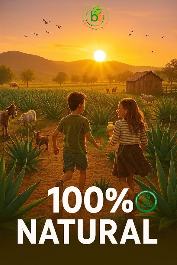 Maguey Jugo(Juice) w/ Aloe Vera &amp 6 Herbs (Sábila y 6 Hierbas)–1000 ml (1 L) Pure Agave Juice – 100% Artisanal Vegan Non-GMO–Natural Digestive Support – Rich in Vitamins B2 B3 &amp C IronCal