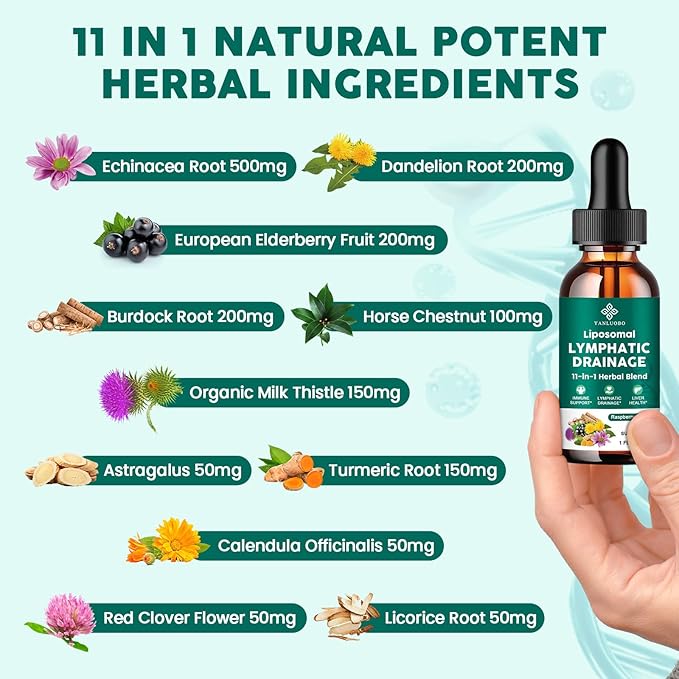 Lymphatic Drainage Drops - 11 in 1 Lymphatic Supplement for Immune Lymph System &amp Liver Detox - with Echinacea Horse Chestnut Dandelion Elderberry &amp Burdock - Raspberry Flavor Vegan 2 Fl