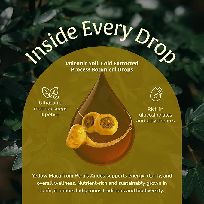 Yellow Maca Extract 50ml – Maca Root Liquid Drops | Peruvian Energy &amp Hormonal Support | Vegan Non-GMO Clean Plant-Based Formula for Focus Mood Vitality &amp Wellness– 50 Servings