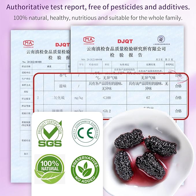 DOZO Dried Black Mulberries 15.5oz/440g Black Mulberry Large Sun-dried Mulberries Vegan Snack＆Baking No sugar add 桑葚干 黑桑葚