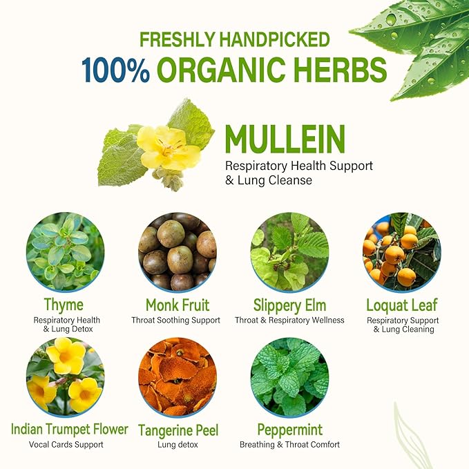 HerbOLITHIC Mullein Tea Bags for Respiratory Health Support Lung Cleanse &amp Detox 8-in-1 Herbal Tea with Monk Fruit Peppermint Extract for Throat Soothing Support 30 Teabags - Té de Gordolobo