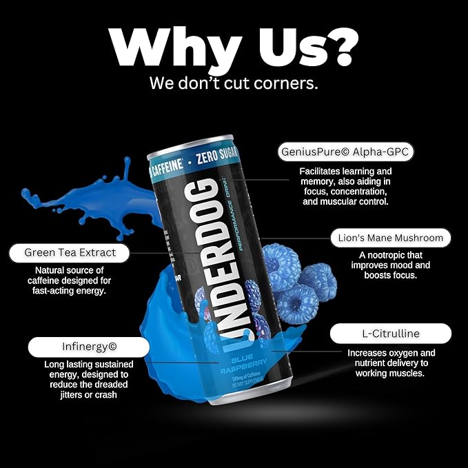 Underdog Performance Energy Drink Blue Raspberry Nootropics Green Tea Extract Citrulline Clean Sugar Free Fast &amp Slow Release 249mg Caffeine per Serving No Artificial Additives 12 Pack
