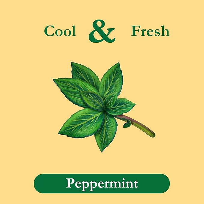 Tadin Peppermint Tea Herbal Tea Caffeine Free 24 Tea Bags Per Box Pack of 6