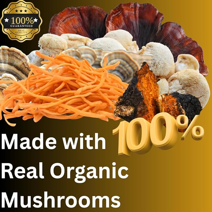 Daily Routine Mushroom Tincture High Potency Double Extracted 60 Daily Doses Blend of Lion's Mane Cordyceps Reishi Turkey Tail and Chaga