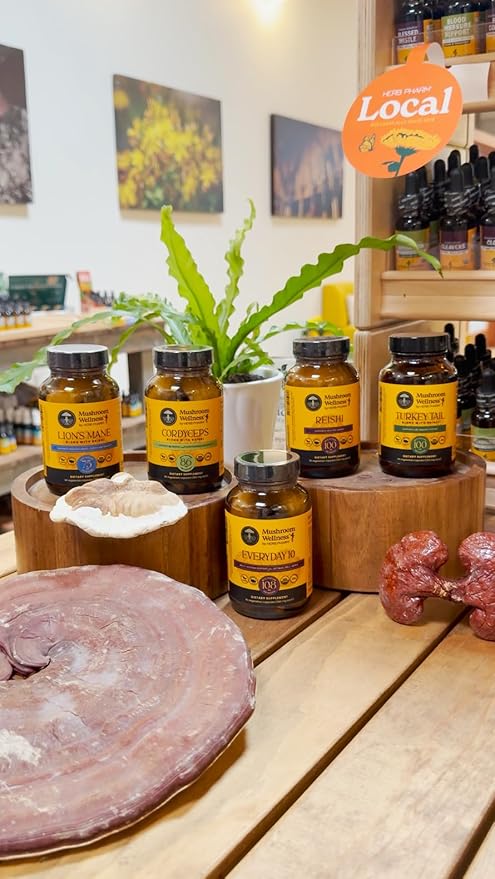Mushroom Wellness Everyday 10: Organic 10-in-1 Mushroom Capsules with Lion's Mane Shiitake Reishi Turkey Tail &amp More Mushroom Powder Supplement Immune &amp Nervous System Support 90 Vegan C