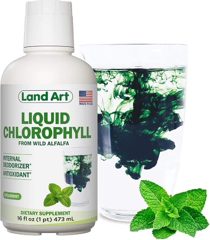 Land Art - Liquid Chlorophyll Mint – Cold-Extracted from Wild Non-GMO Alfalfa – Natural Clorofila Liquida – Antioxidant - Detox Supplement – Boost Energy – Alkalizing &amp Body Odor Neutralizer – 16
