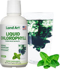 Land Art - Liquid Chlorophyll Mint – Cold-Extracted from Wild Non-GMO Alfalfa – Natural Clorofila Liquida – Antioxidant - Detox Supplement – Boost Energy – Alkalizing &amp Body Odor Neutralizer – 16