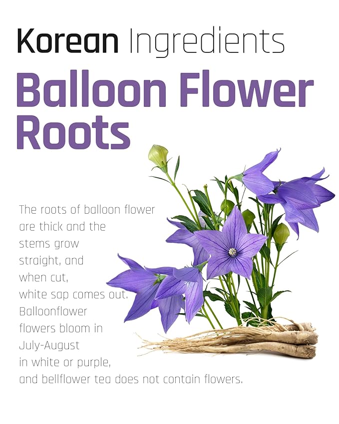 Ssanggye Bellflower Tea Bulk Size 0.7g x 100 Tea Bags Premium Korean Herbal Tea Hygienic Single Teabag Balloon Flower Doraji 도라지차 Caffeine Free Herb Refreshing Tea Made in Korea