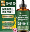 26-in-1 Liposomal Lymphatic Drainage Drops Echinacea Turmeric Elderberry Dandelion Vitamins and Mullein Drops for Lungs Lymphatic Immune Support Liver Cleanse Detox &amp Repair 2 fl oz