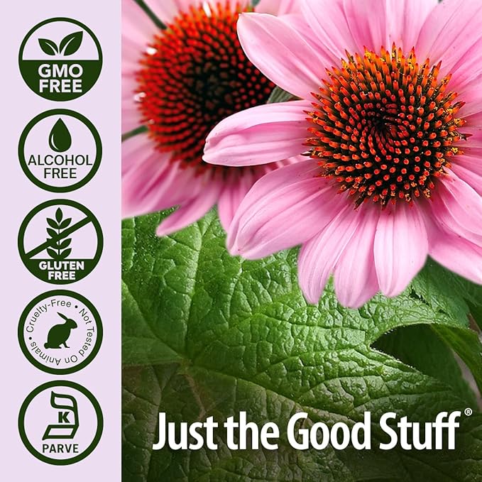Nature's Answer Echinacea and Goldenseal | Supports a Healthy Immune System | Non-GMO Alcohol-Free Gluten-Free &amp Kosher Certified 4oz