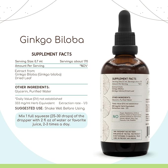 HerbEra Ginkgo Biloba B120 Alcohol-Free Herbal Extract Tincture Super-Concentrated Ginkgo Biloba Dried Leaf 4 fl oz