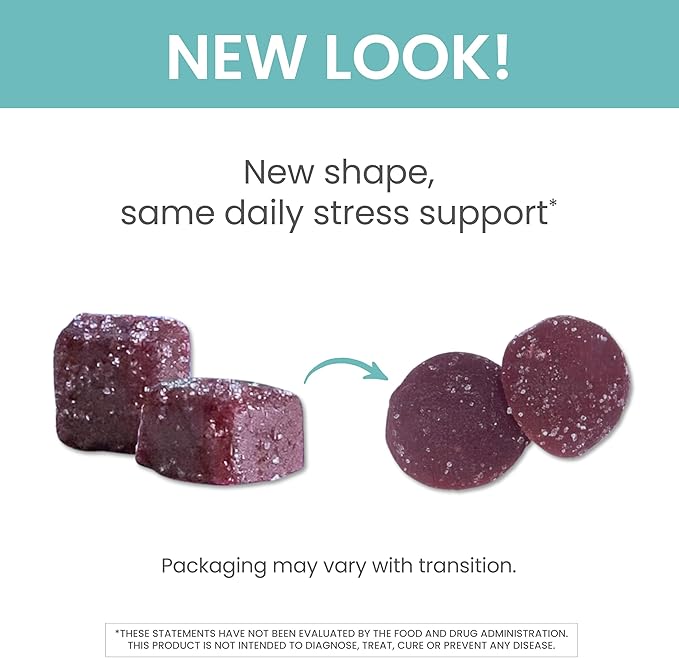 Himalaya Ashwagandha Organic Gummies KSM-66 Organic Ashwagandha to Help with Stress Relief Energy and Relaxation 60 Gummies with Delicious BlackBerry Flavor