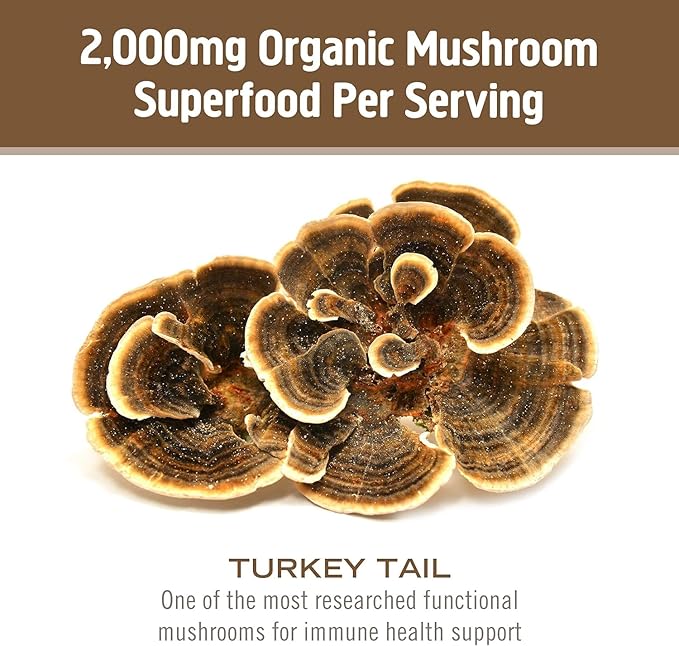 Om Mushroom Superfood Turkey Tail Organic Mushroom Powder 3.5 Ounce 50 Servings Immune Support Polysacchrides Beta-Glucans Gut Health &amp Holistic Defense Mushroom Supplement
