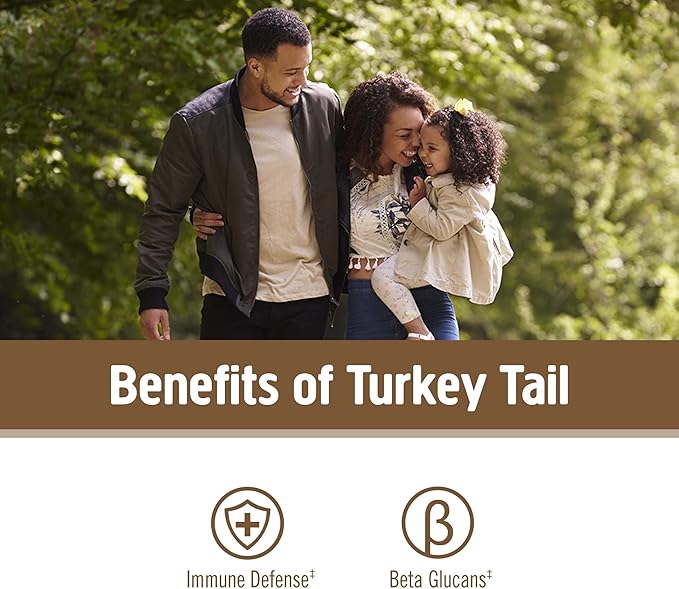 OM MUSHROOM SUPERFOOD Turkey Tail Organic Mushroom Powder Pouch 7.05 Ounce 100 Servings Immune Support Polysacchrides Beta-Glucans Gut Health &amp Holistic Defense Mushroom Supplement