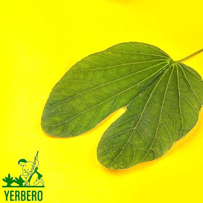 Yerbero - Te Herbal Pata De Vaca Bulk Sizes 8 oz (225gr) Herbal Tea (Cow's Foot Leaves - Bauhinia Forficata) Stand Up Resealable Bag Crafted By Nature100% All Natural Fresh Tea Tea non-GMO Gluten-Fr