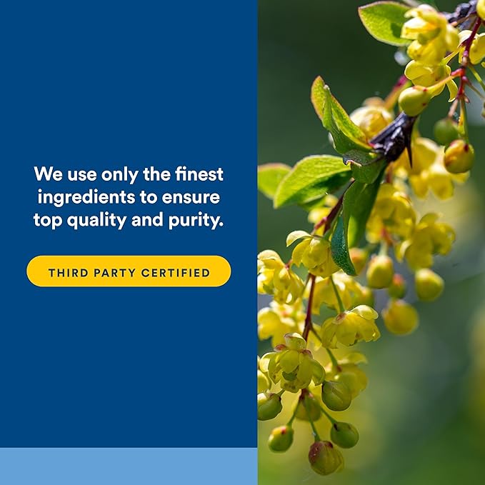 Natural Factors WellBetX Berberine - Daily Supplement Supports Metabolic Health - Formula Supports Healthy Heart - Gluten-Free &amp Vegan - 120 Vegetarian Capsules (120 Servings)