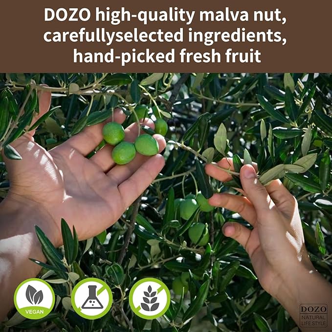DOZO Malva Nut 7.05oz/200g Pang Da Hai Tea Niranjan Phal 100% Natural Herbal Tea 胖大海 润喉茶