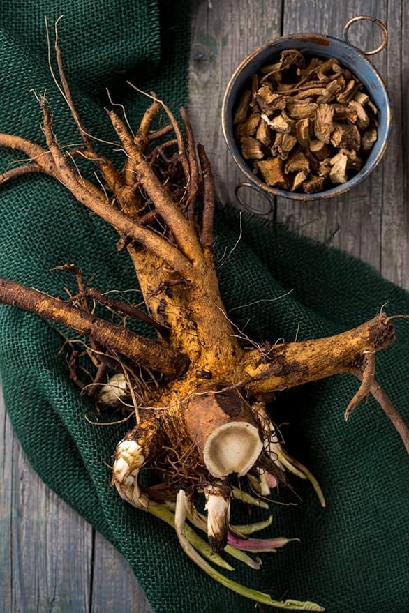 Health Embassy Oman Root | Elecampane Root | Inula Helenium | Herbal Tea (50g)