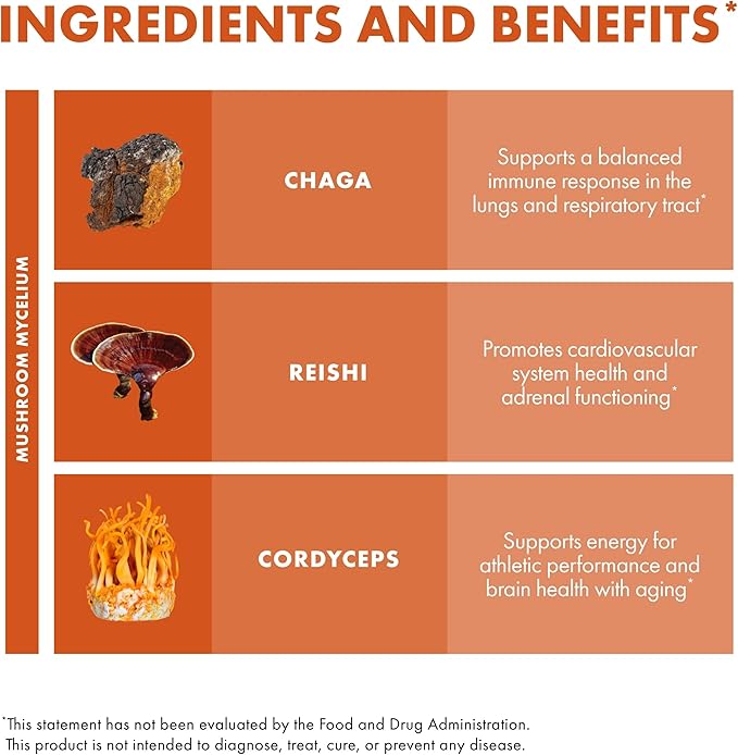 Host Defense Breathe* Powder - Immune &amp Respiratory Support Mushroom Supplement - Herbal Lung Health Support Supplement with Chaga Reishi &amp Cordyceps - 3.5 oz (66 Servings)*