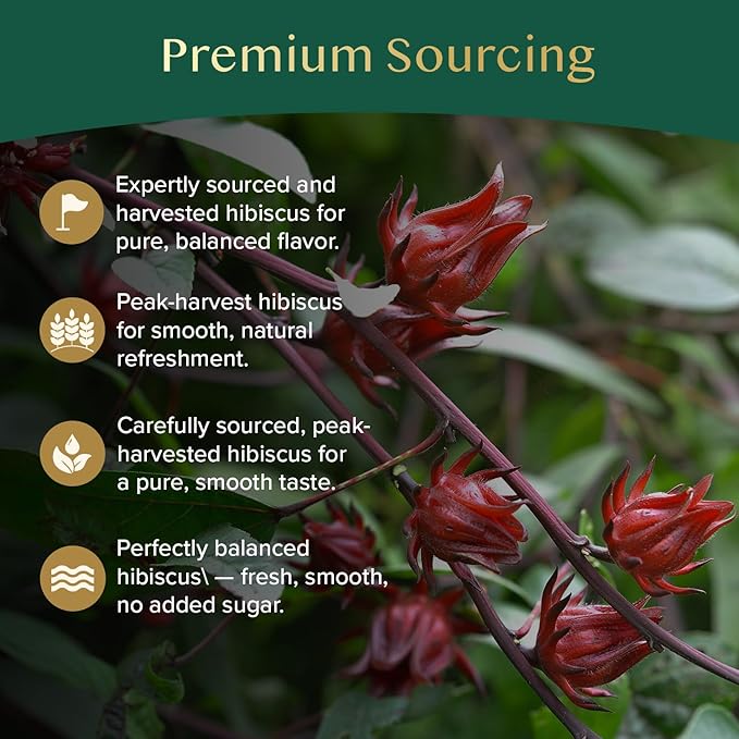 VAHDAM Hibiscus Tea (100 Tea Bags)| Caffeine Free Non-GMO Direct from Source Eco-Friendly Individually Wrapped Tea Bags