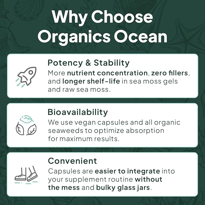 Organics Ocean Shilajit for Men and Women - Shilajit Supplement with Vitamin B12 Chromium and Selenium for Age-Defying Energy Hormone Support - Pumpkin Cocoa Flavor - 60 Gummies