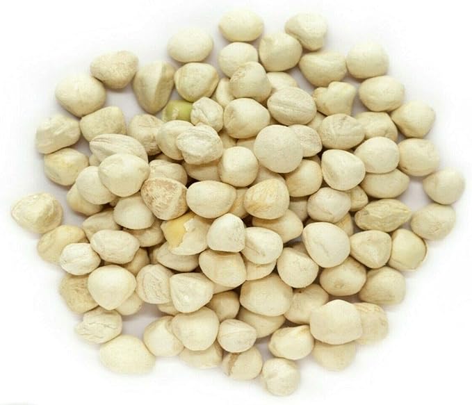 Moringa Seeds Kernel Shelled 2 lbs. Wide Mouth Jar - Clean PKM1 Variety - Edible - Moringa Oleifera - Malunggay - Semillas De Moringa - Drumstick Tree - Non-GMO - 4000 to 4800 Seeds Approx.