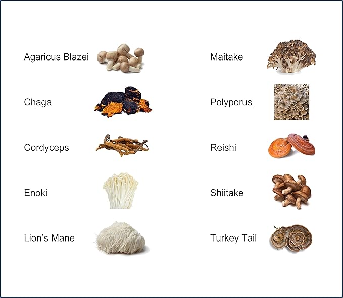 Mushroom Extract Powder - Powerful 10 Blend Organic Lions Mane Cordyceps Reishi Shiitake Turkey Tail Mushrooms Nootropic Brain Supplement for Energy Calm Focus &amp Immune System Booster